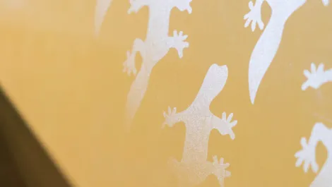An example of the single pass digital varnish effect